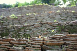 Monte dei cocci, Testaccio: i frammenti di anfore ordinatamente accatastati (CC) Flickr.com/Hans Dinkelberg