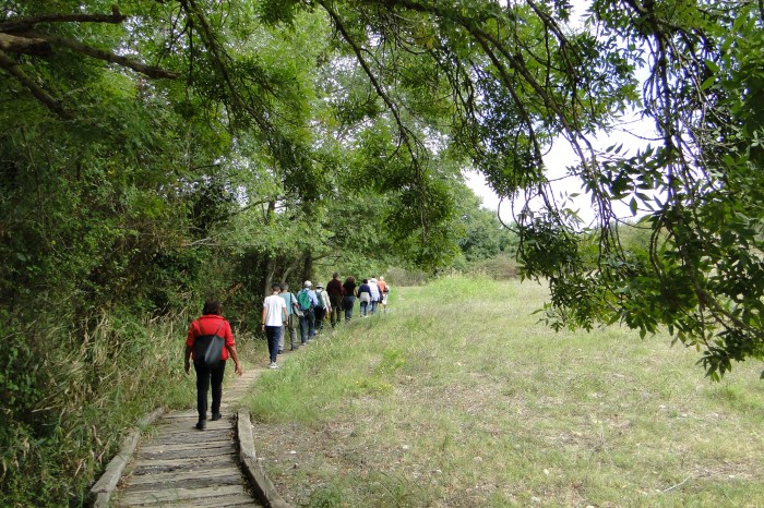 Sulla passerella nell'Oasi WWF di Serre Persano