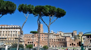 Fori_Flickr_David McKelvey