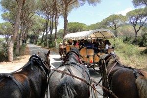 In carrozza nel Parco naturale della Maremma