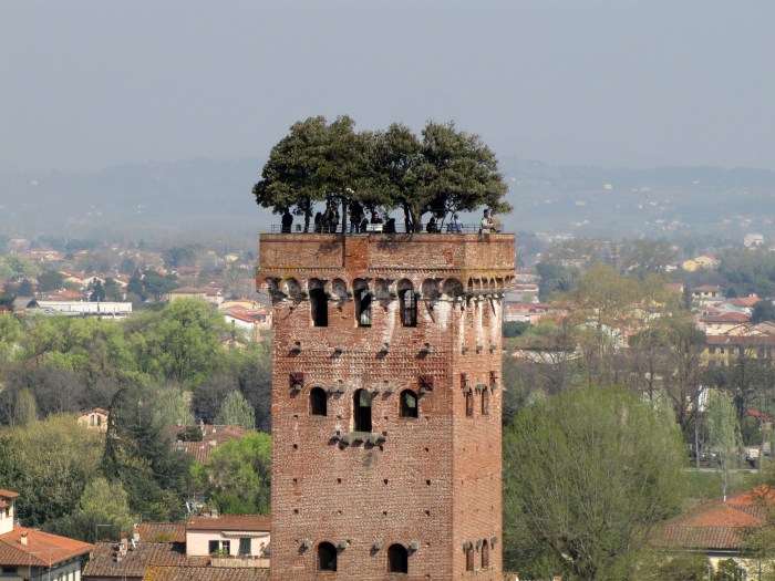 Torre Guinigi, Lucca